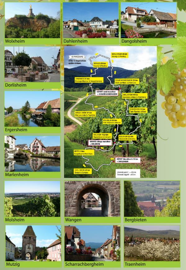 Marathon du vignoble molsheim