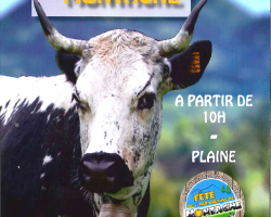 2016 09 01 fete de la montagne