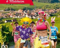 2017 06 07 marathon du vignoble d alsace a molsheim
