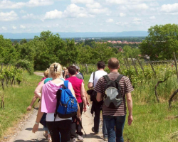 2019 07 02 calendrier region molsheim mutzig juillet aout 2019