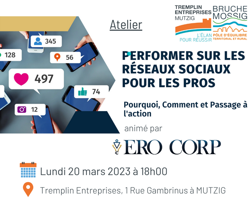 2023 03 20 atelier les reseaux sociaux pour les pros tremplin entreprises a mutzig