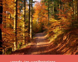 2023 11 02 agenda de la vallee de la bruche du 19 octobre au 2 novembre 2023