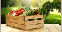 Bonnes adresses alimentation