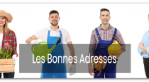 Les bonnes adresses locales