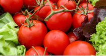 Mag annuaire des marches hebdomadaires