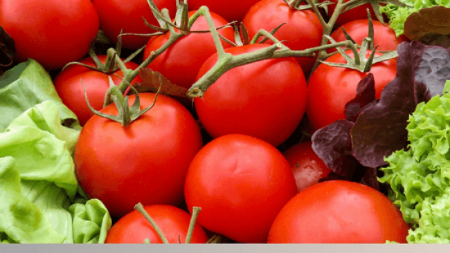 Annuaire des jours de marché