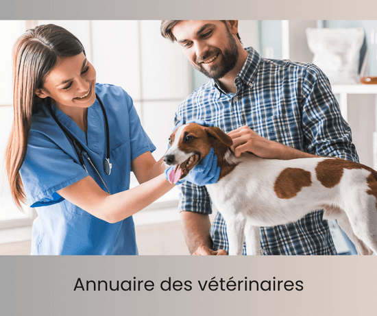 Mag annuaire des veterinaires