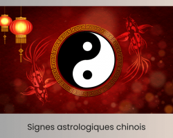 Rubrique signes astro chinois