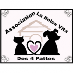 ASSOCIATION-LA-DOLCE-VITA-DES-4-PATTES